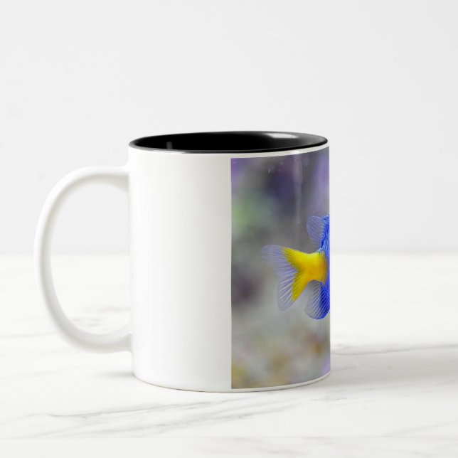 Cup with Lucky Fish (Left)