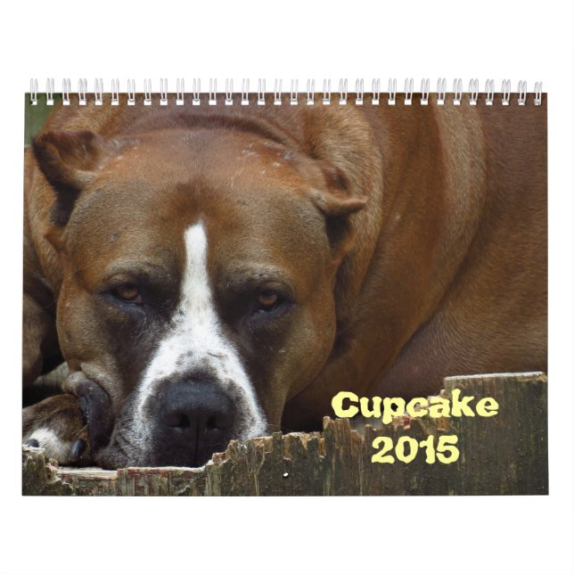 Cupcake 2015 Calendar (Cover)