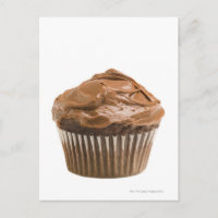Cupcake with chocolate icing, studio shot