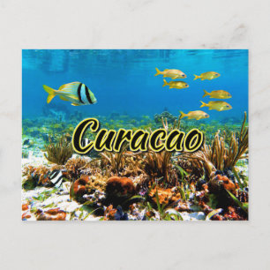 Curacao coral reef postcard