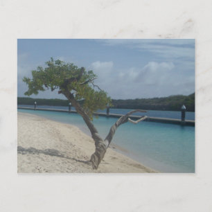 Curacao Postcard