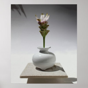 Curcuma Floating Print -20x24 -other sizes also