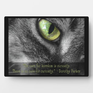 Curiosity Cat with Parker quote plaque