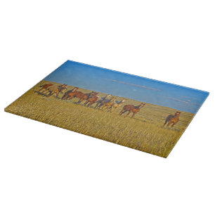 Curiosity Crew Horse Cutting Board