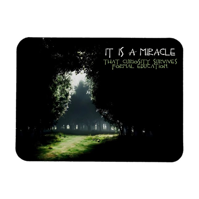 "Curiosity" Inspirational Quote Flexible Magnet (Horizontal)