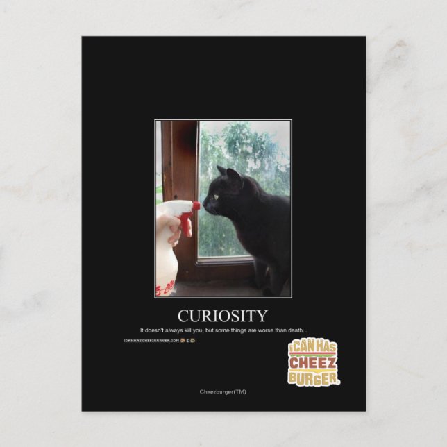 Curiosity Postcard (Front)