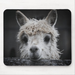 Curious Alpaca Mouse Pad