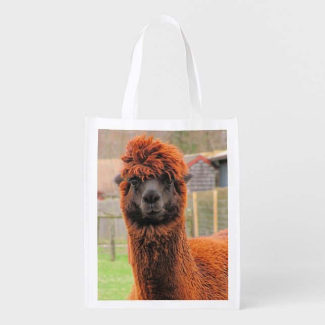 Curious Alpaca ~ Poly bag (Front)