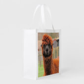 Curious Alpaca ~ Poly bag (Back Side)
