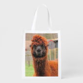 Curious Alpaca ~ Poly bag (Back)