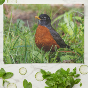 Curious American Robin Songbird in the Grass Tea Towel