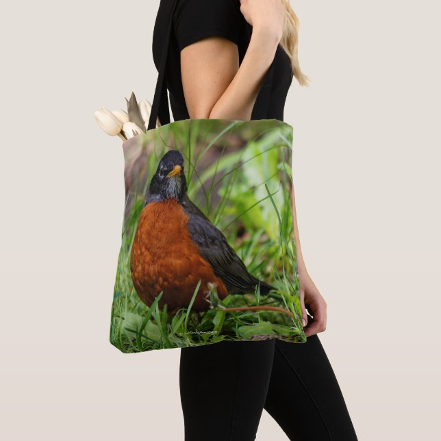 Curious American Robin Songbird in the Grass Tote Bag (Close Up)