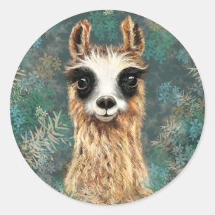 Curious Baby Llama - Cute - Classic Round Sticker