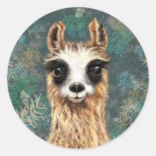 Curious Baby Llama Sticker Alpaca