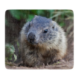 Curious Baby Marmot Cutting Board