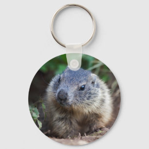 Curious Baby Marmot Keyring