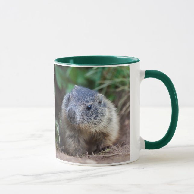 Curious Baby Marmot Mug (Right)