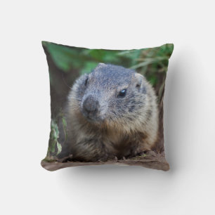 Curious Baby Marmot Pillow