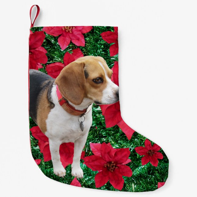 Curious Beagle Poinsettias Christmas Stocking (Front)