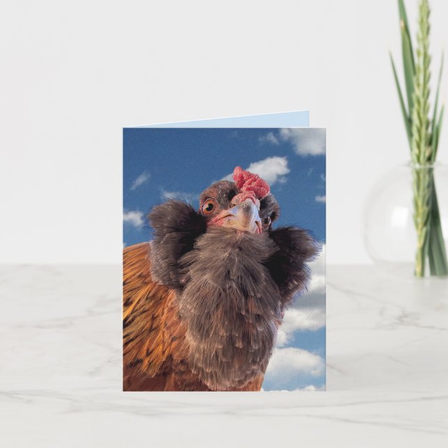 Curious Bearded Chicken Head Close-Up  Card (Front)
