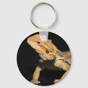 Curious Bearded Dragon 3 Key Ring