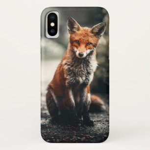 Curious Big Red and White Fox Sitting in Nature Case-Mate iPhone Case