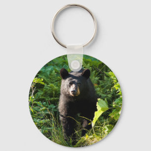 Curious Black Bear Key Ring