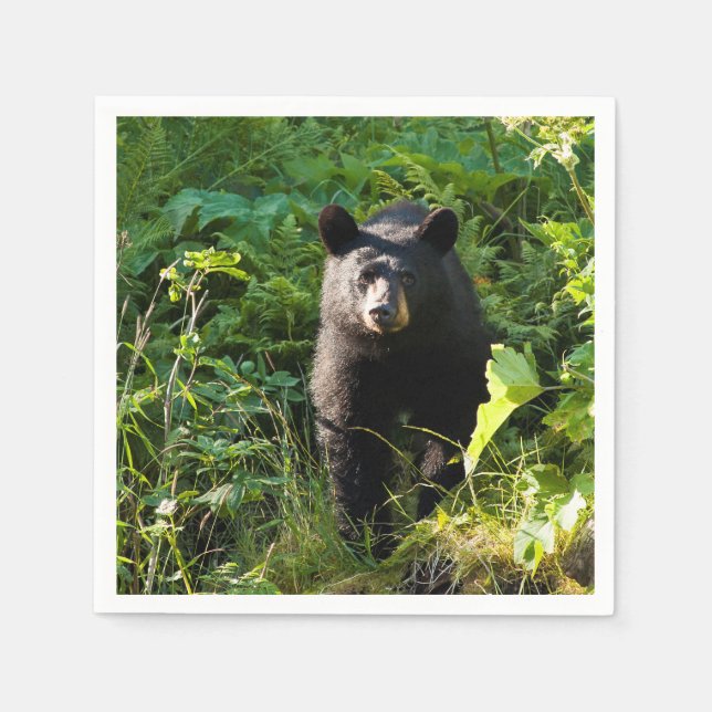 Curious Black Bear Napkin (Front)