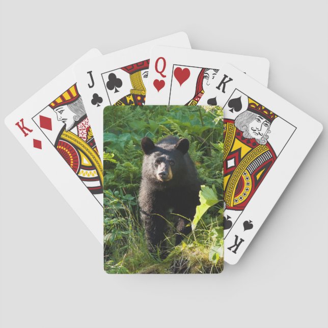 Curious Black Bear Playing Cards (Back)