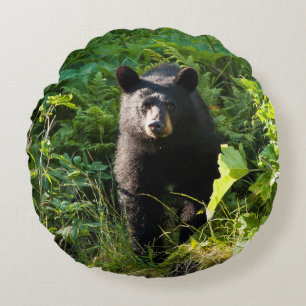 Curious Black Bear Round Cushion