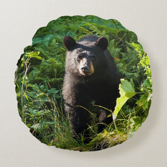 Curious Black Bear Round Cushion (Front)