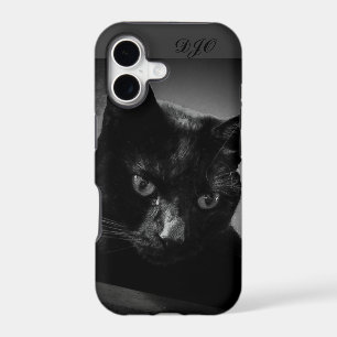 Curious Black Cat and monogram