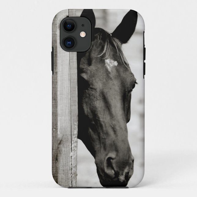 Curious Black Horse Case-Mate iPhone Case (Back)