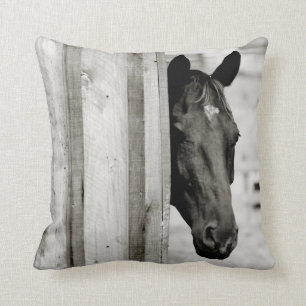 Curious Black Horse Cushion