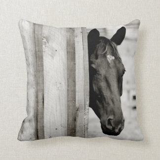 Curious Black Horse Cushion