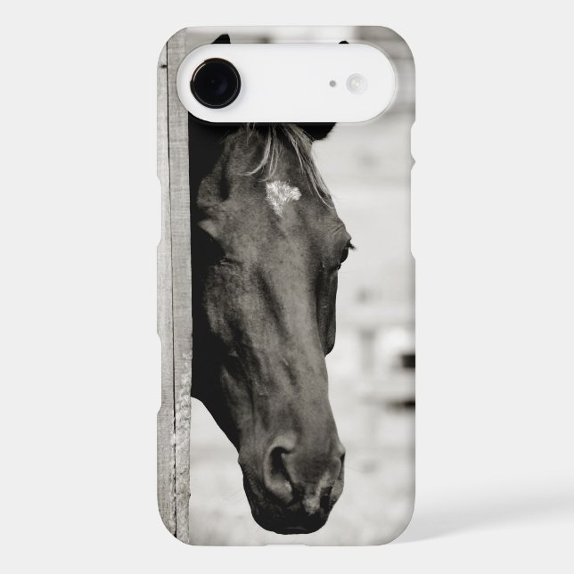 Curious Black Horse iPod Case-Mate Case (Back)