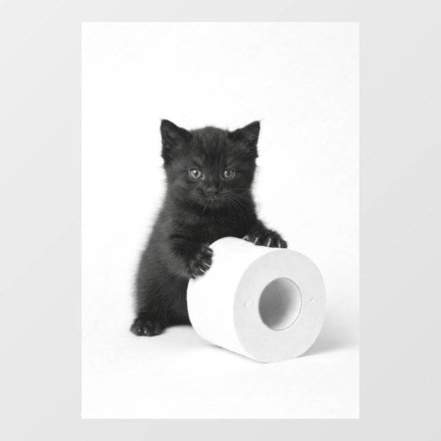 Curious Black Kitten Guarding Toilet Paper Roll On (Sheet)