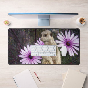 Curious Bloom: Meerkat Among Purple Daisies Desk Mat