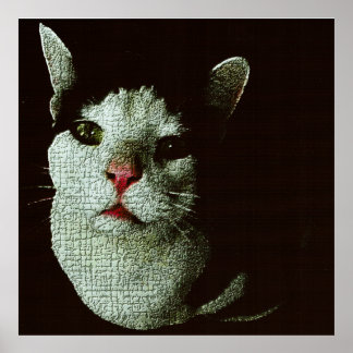 Curious Bob Poster