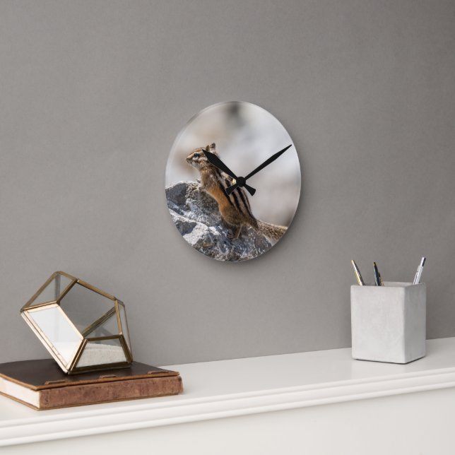 Curious Brown Chipmunk in Alberta Round Clock (Office)