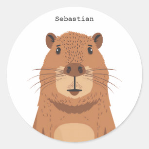 Curious Capybara Portrait Classic Round Sticker