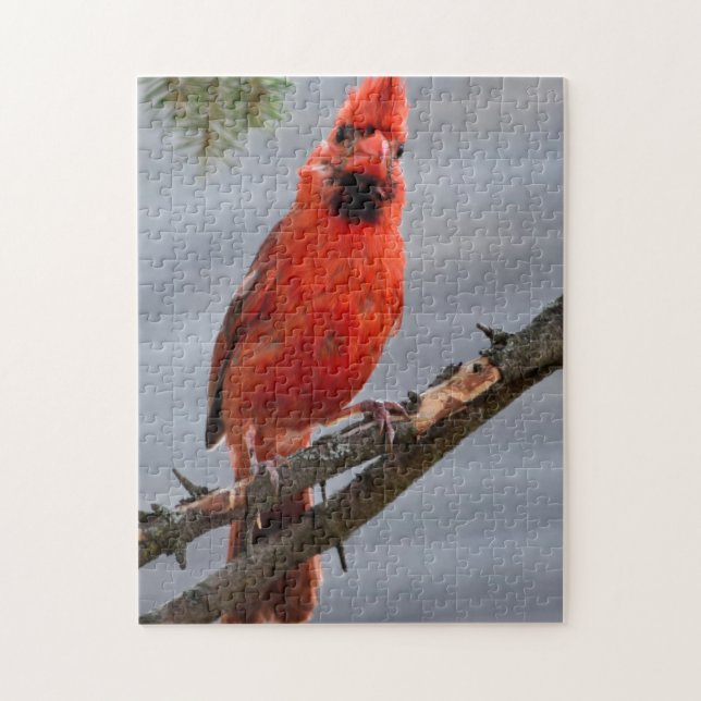 Curious Cardinal Puzzle (Vertical)