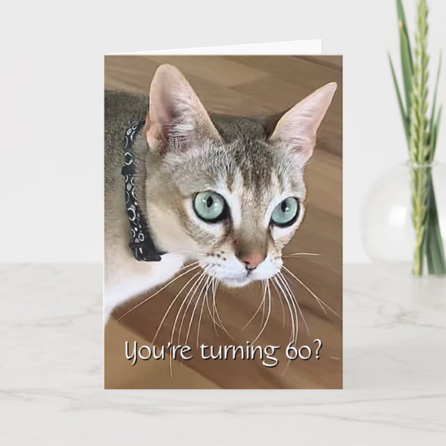 Curious Cat 60th Birthday Card (Front)