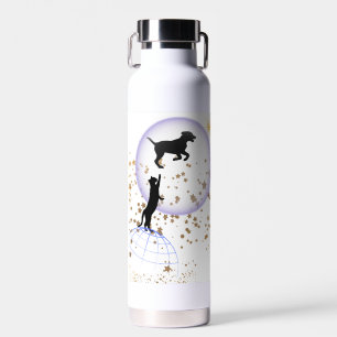 Curious cat and running dog water bottle
