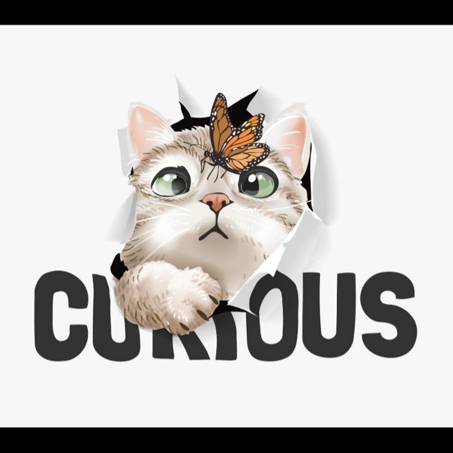 Curious Cat  Baby T-Shirt (Machine washable,
Washing before first use is recommended!)