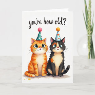 Curious Cat Birthday Card