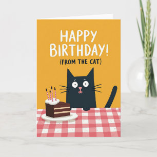 Curious Cat Cake Birthday Card
