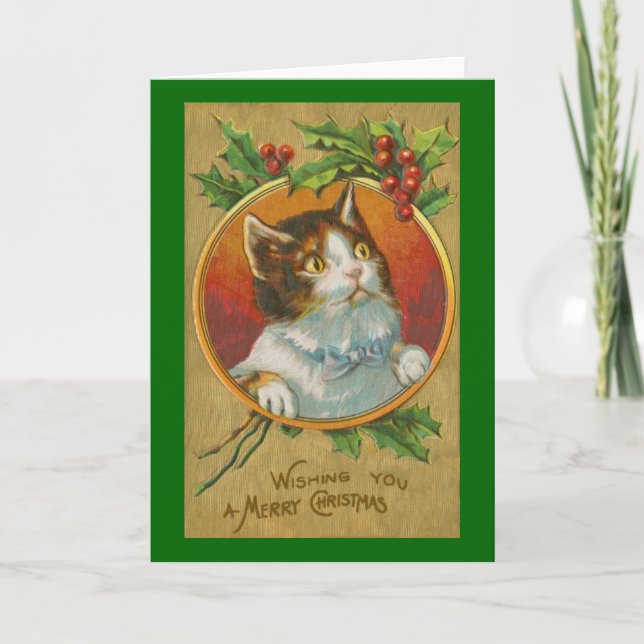 Curious Cat Christmas Card (Front)