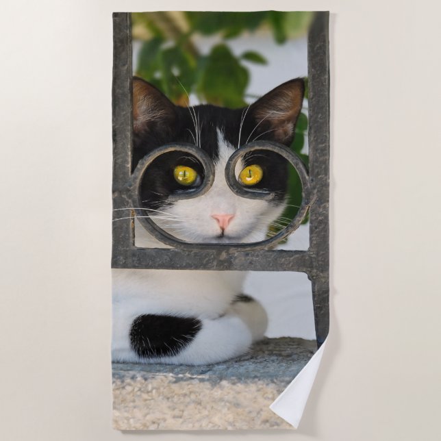 Curious Cat Eyes with Spectacles Frame Funny Photo Beach Towel (Front)