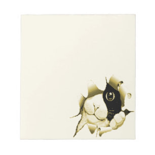 Curious Cat Notepad